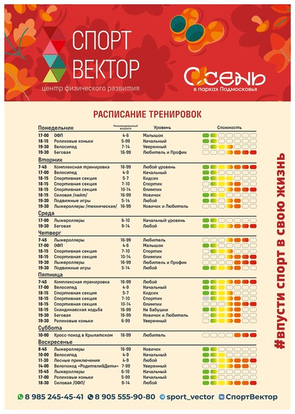 СпортВектор